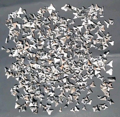 Hundreds bone valley - hundreds,